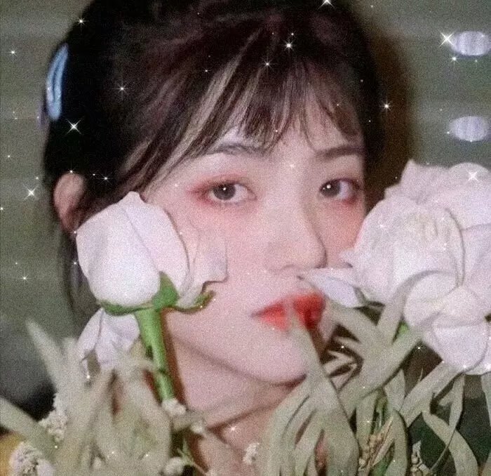 模犯生